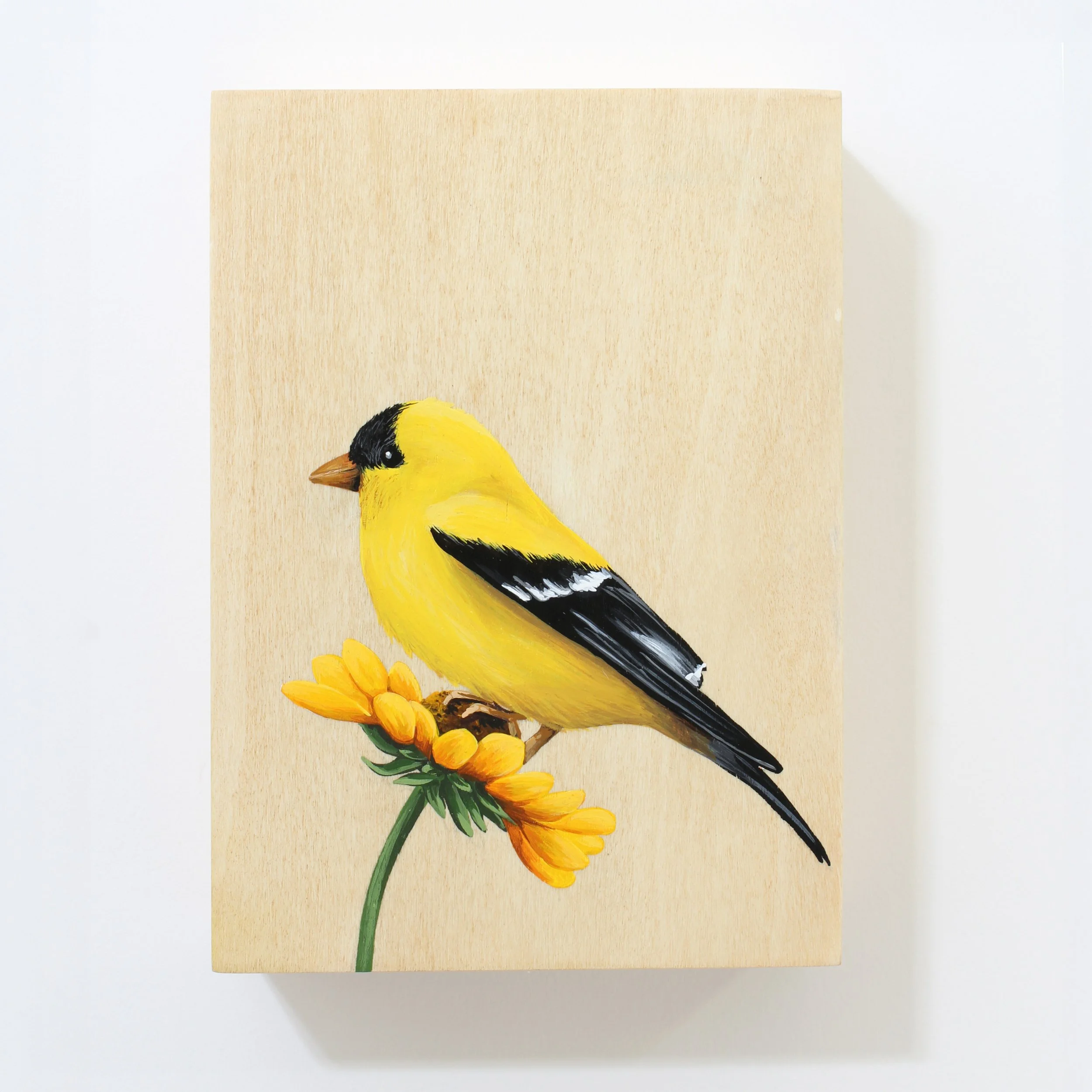 Goldfinch