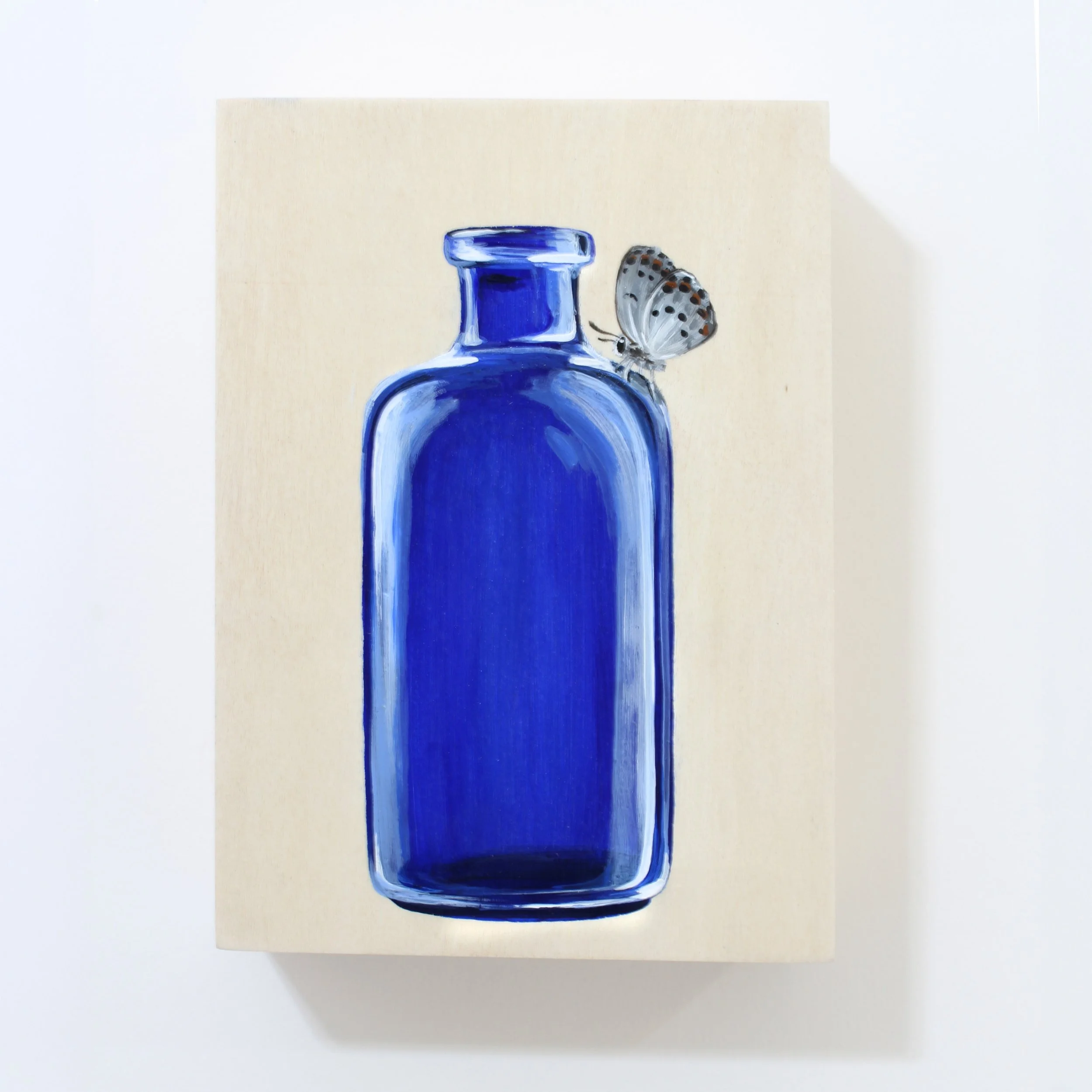Blue Bottle Butterfly