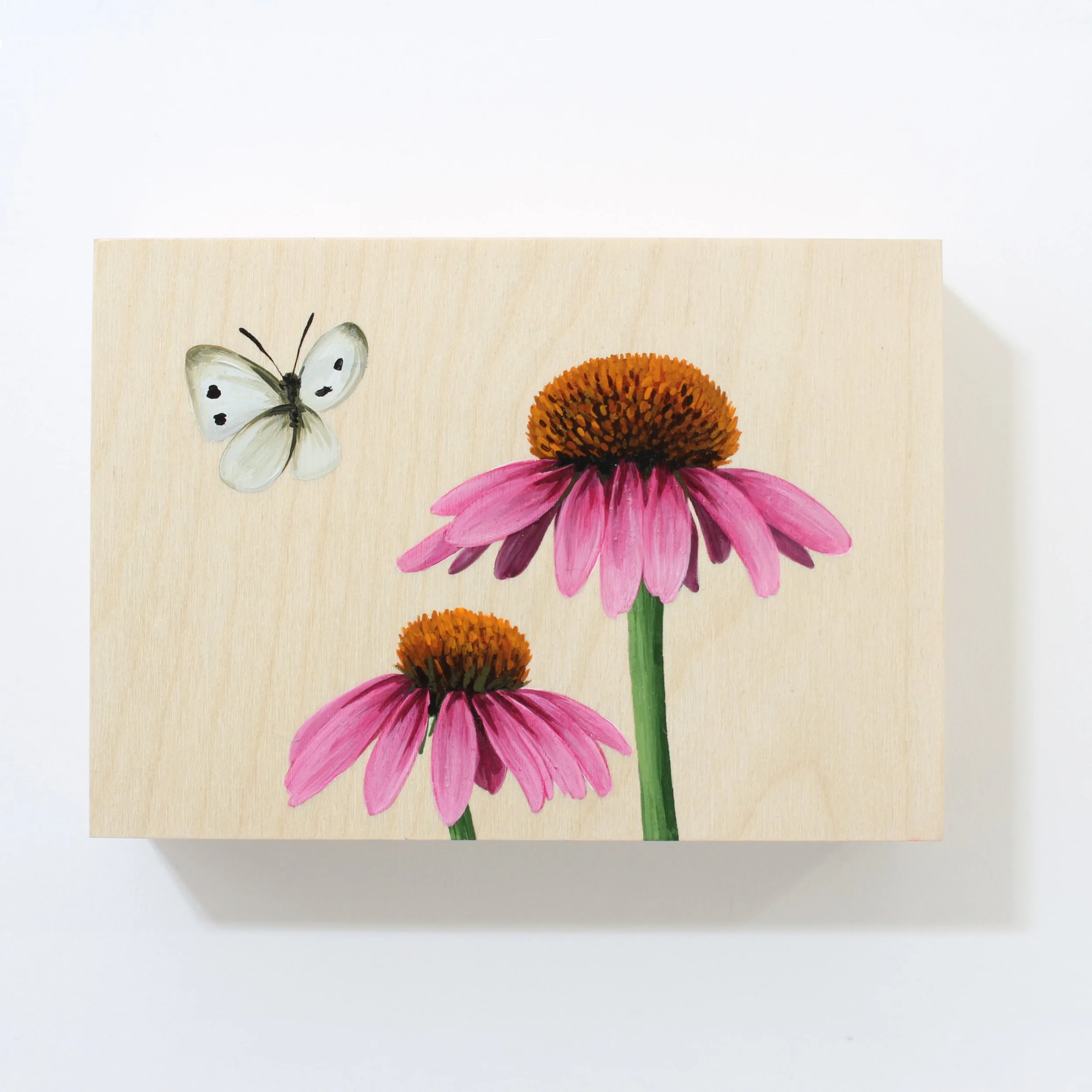 Coneflowers