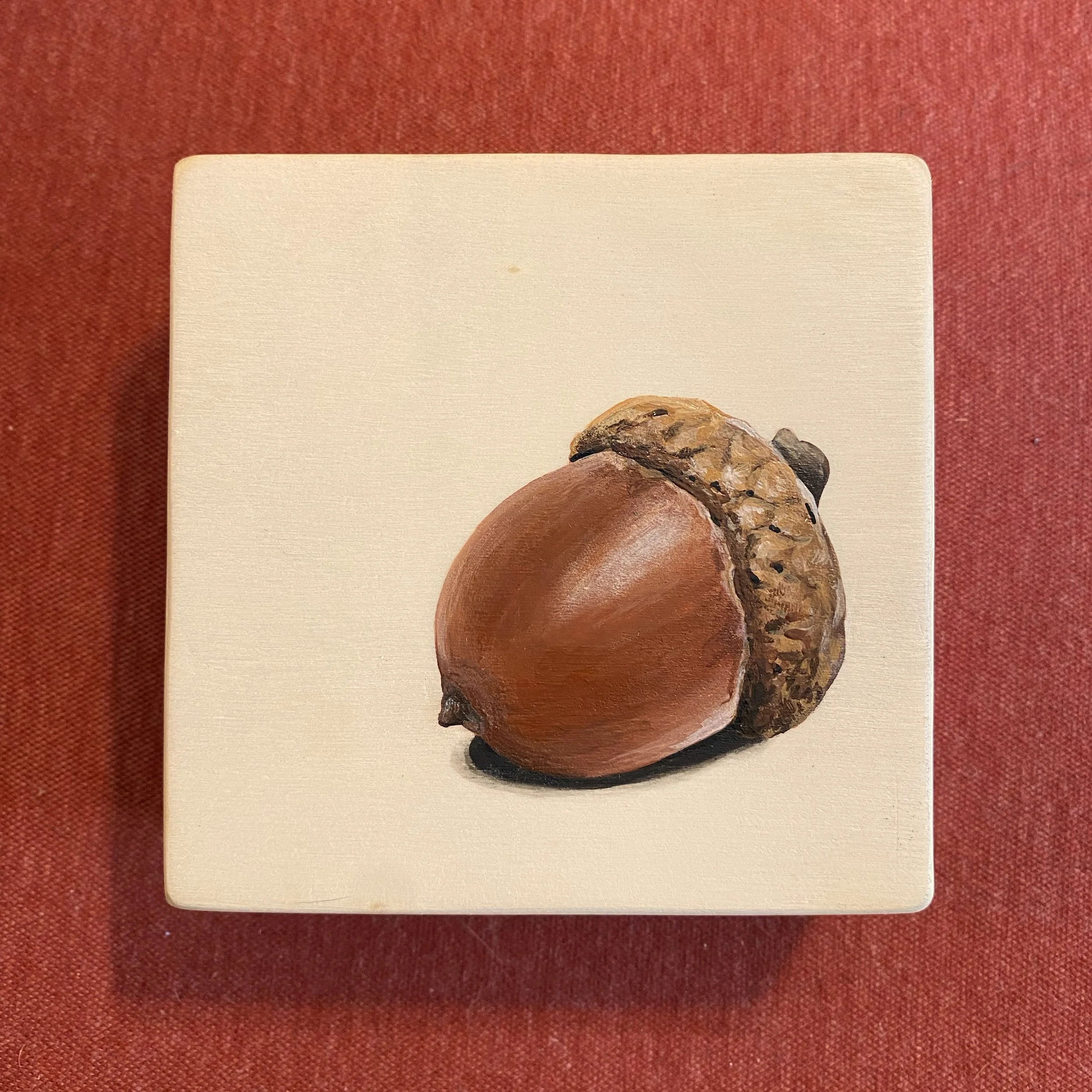 Acorn