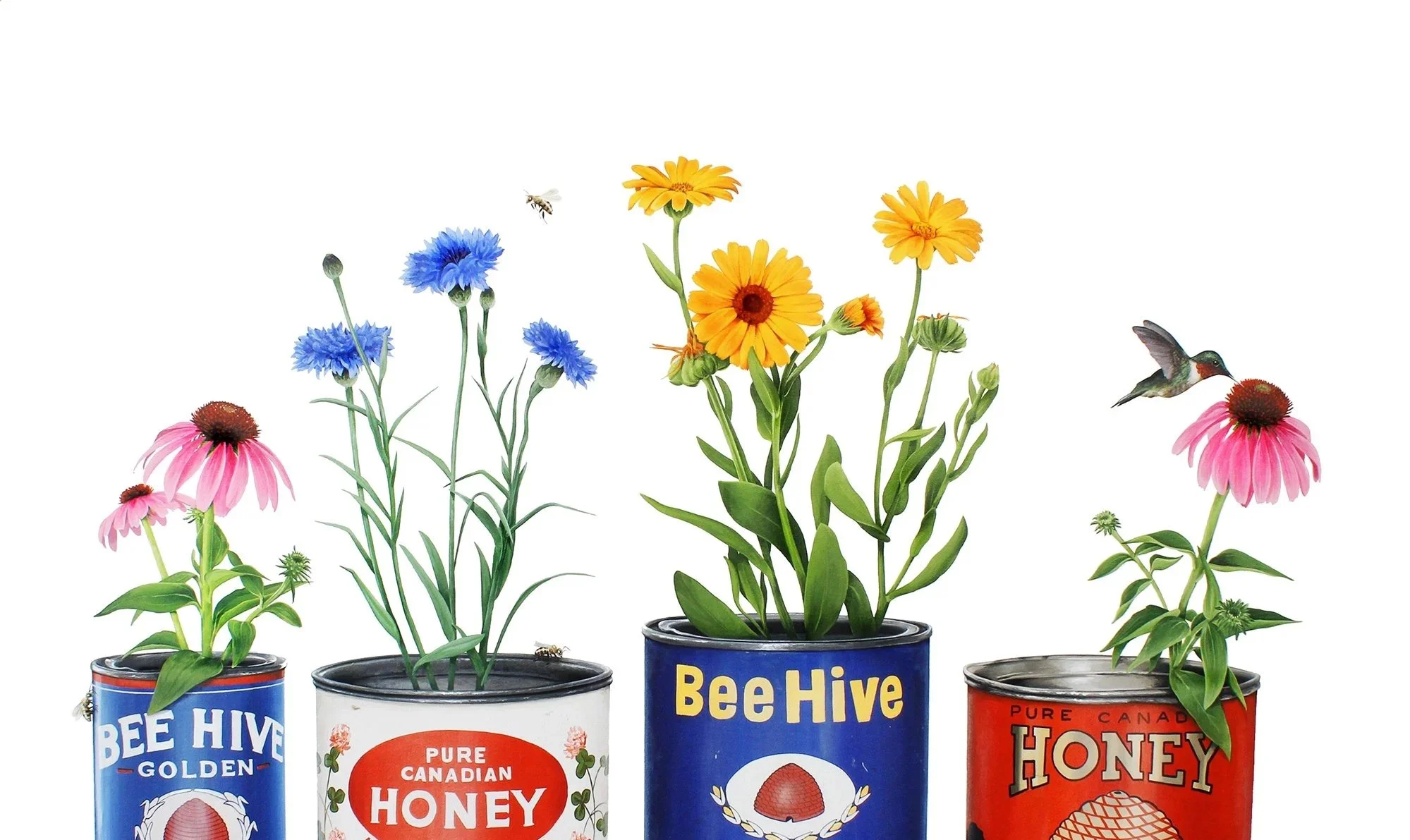 Sweet Things and Tiny Wings WEB.jpg