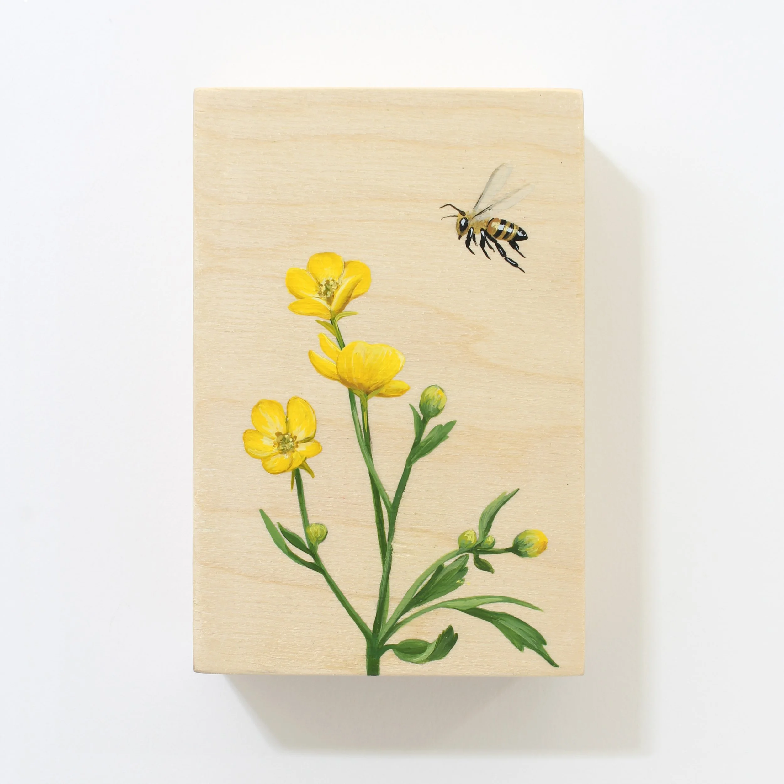 Buttercup & Bee