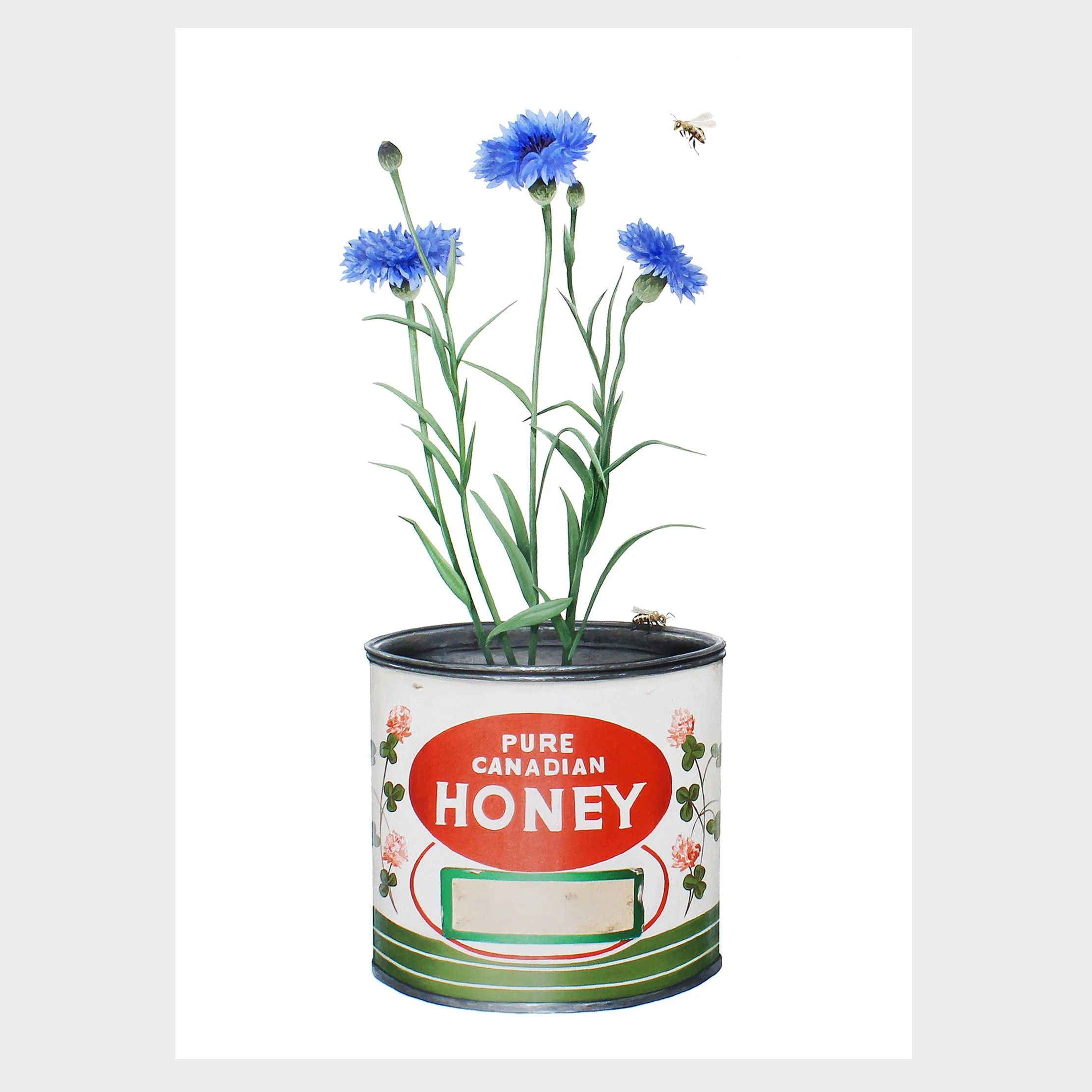 "Honey Tin" Print