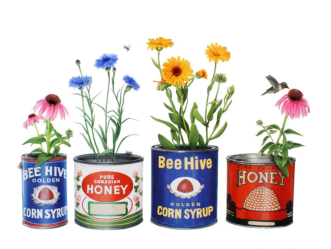 MaryAnnSlater_Sweet Things and Tiny WingsWEB.jpg