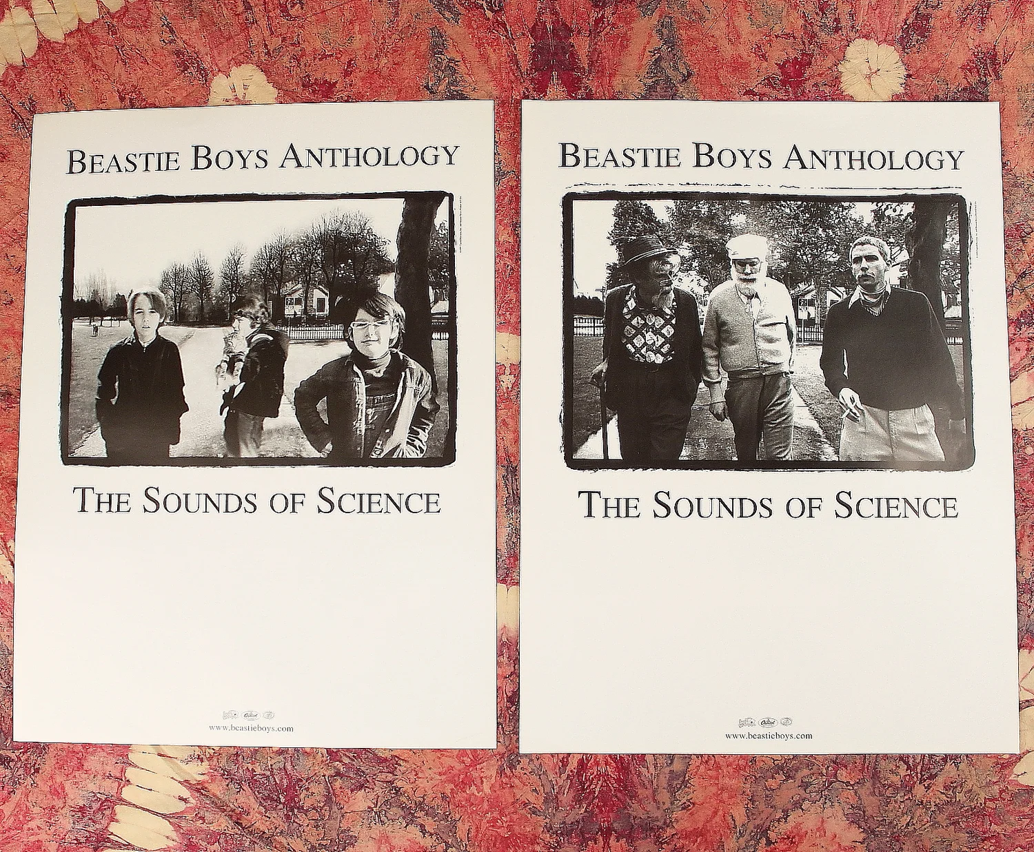 Beastie Boys Anthology // The Sounds of Science // 2 sided 90s