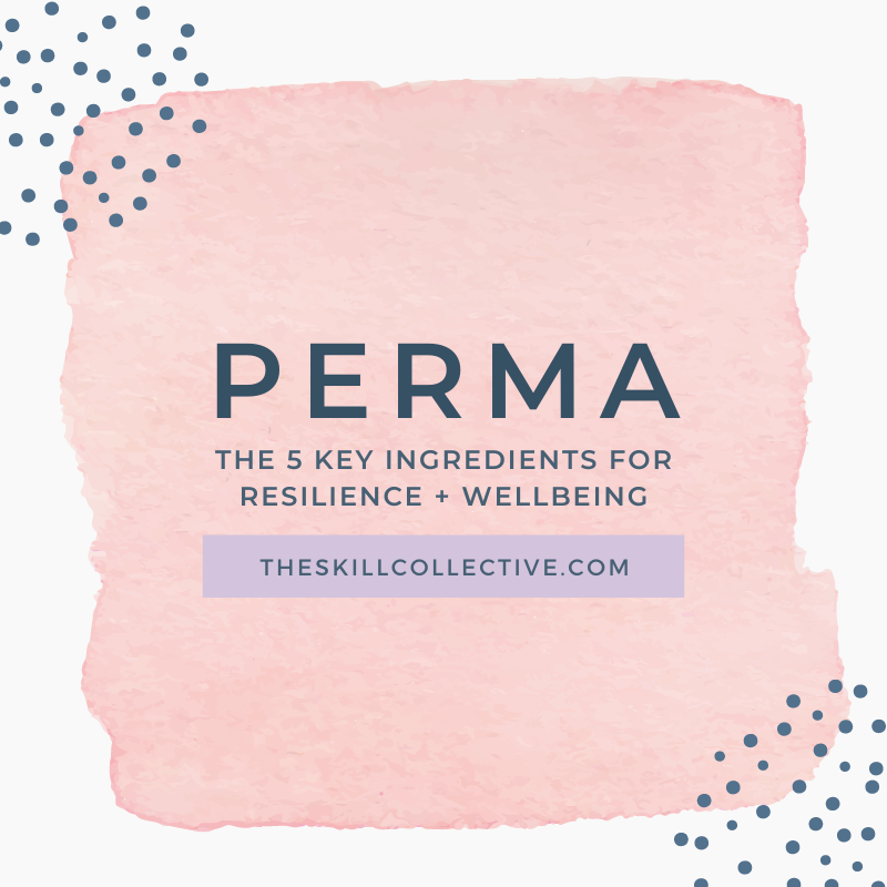 PERMA: The Ingredients for Resilience + Wellbeing