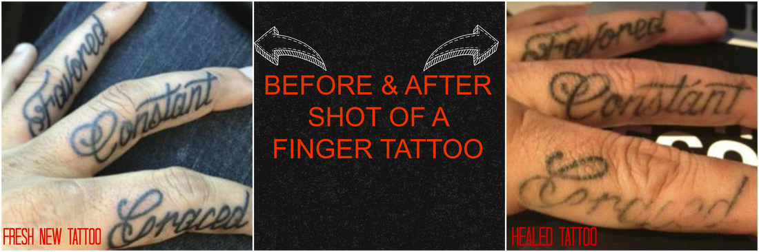 tattoo misconceptions — Alchemy Tattoo Collective Tattoo Blog