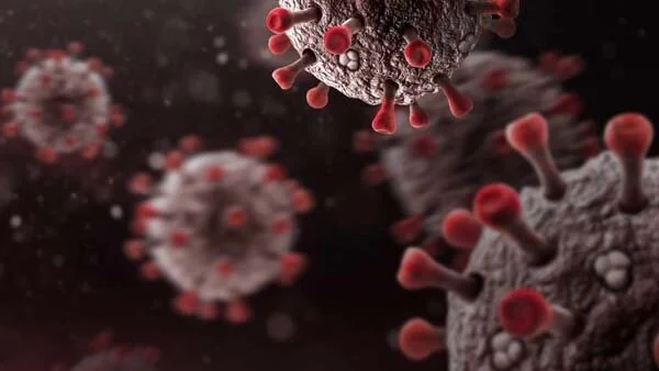 Covid-19 Precautions