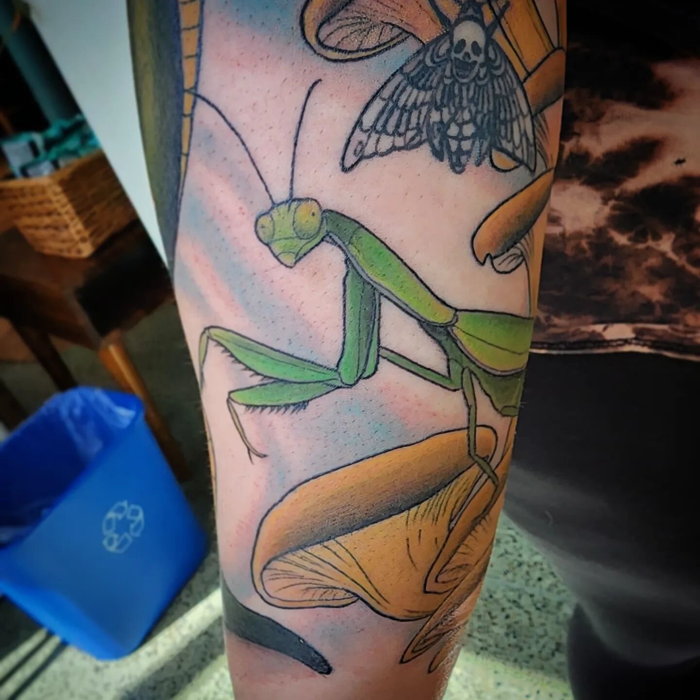 Hello there. Part of a sleeve we are working on.  Thanks Allie!! (Moth not by me) #prayingmantis #prayingmantistattoo #mushrooms #mushroomtattoo