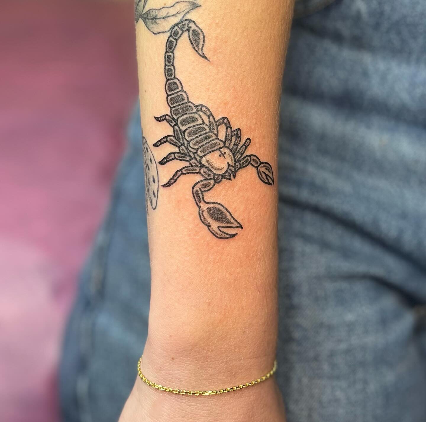 🦂 fun little guy from yesterday!