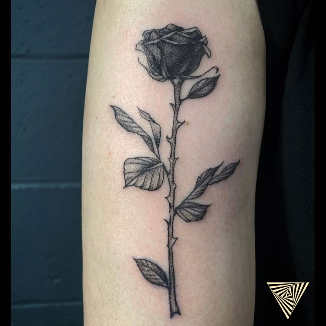 🌹Who said to paint the roses red? The elegance &amp; detail in this black and grey shading is absolutely stunning 🤩🌹
.
By @natzaps : Now Booking ☑️
.
.
#rosetattoo #blackandgreyrose #alchemytattoocollective #stlouistattooartist #rosethorns #centra