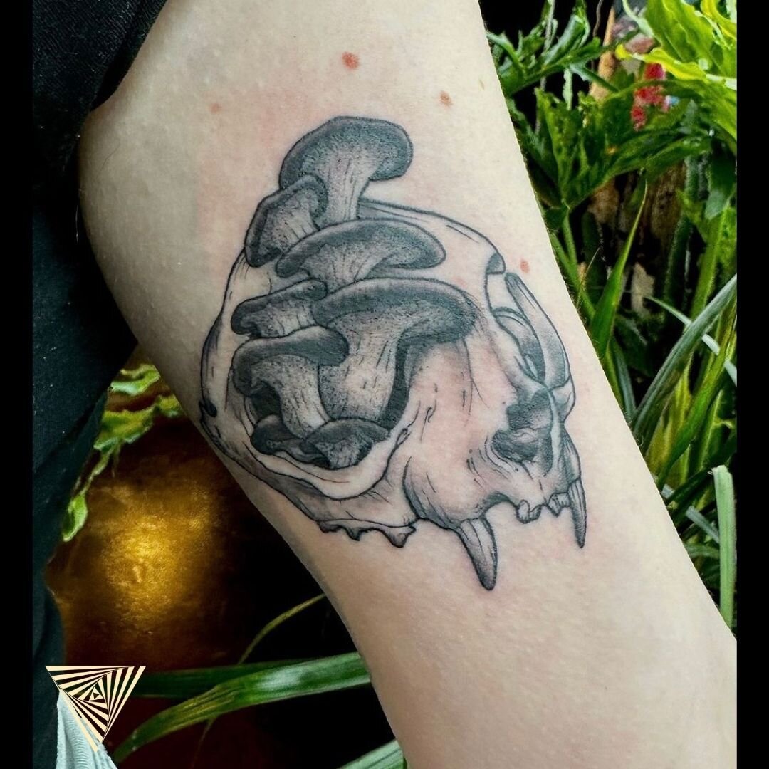 &ldquo;I have really been enjoying tattooing bones and botanical pieces.  I have always loved the mix. 💀🍄&rdquo;
.
By apprentice @misscorilynne : Now Booking ☑️
.
.
#catskulltattoo #skullandmushroomstattoo #woodlandtattoo #apprenticetattoo #tattooa