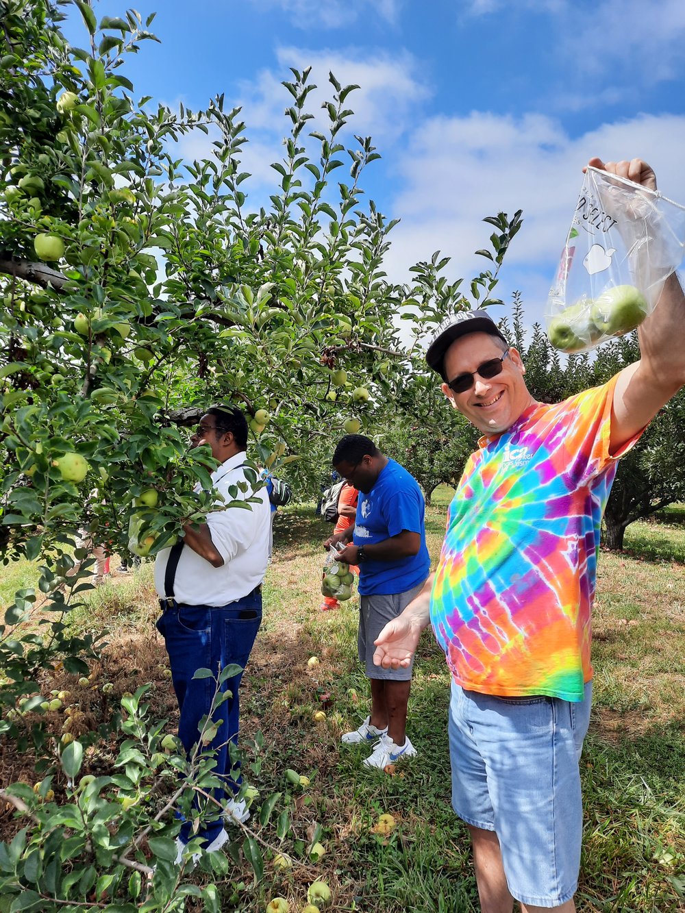 apple picking 3.jpg