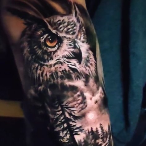 Are owls your spirit animal? Here's your sign. ⁠
⁠
Credit⁠
1: @diaboliquetattoo⁠
2: @taylortattoostl⁠
3: @christa.tattoos⁠
4: @crazmatic ⁠
5: @cjtat1⁠
⁠
#owl #owltattoo #spiritanimaltattoo #stltattooshop #tattooshop #AlchemyTattoocollective #localart