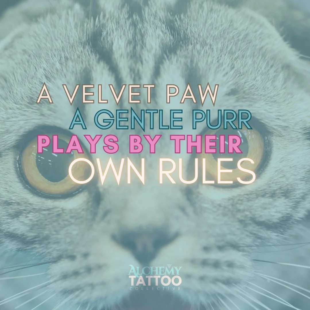 are you even a real cat lover if you don't have one tatted on you??⁠
⁠
Credit:⁠
1: @shizo.tt⁠
2: @hallorandesigns⁠
3: @misscorilynne⁠
4: @christa.tattoos⁠
5: @catnip_tattoos