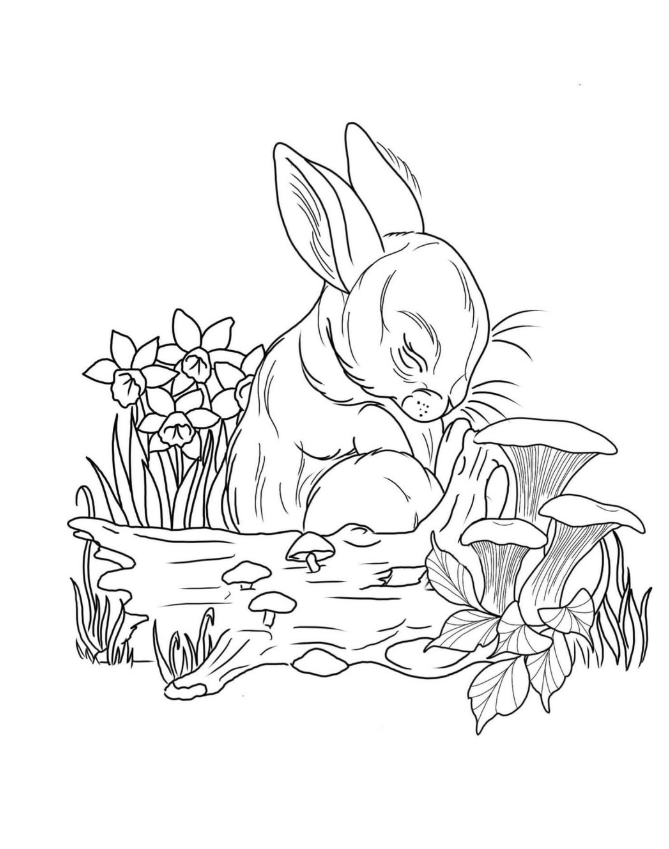 Screenshot 2025-05-31 3.15.32 PM.png