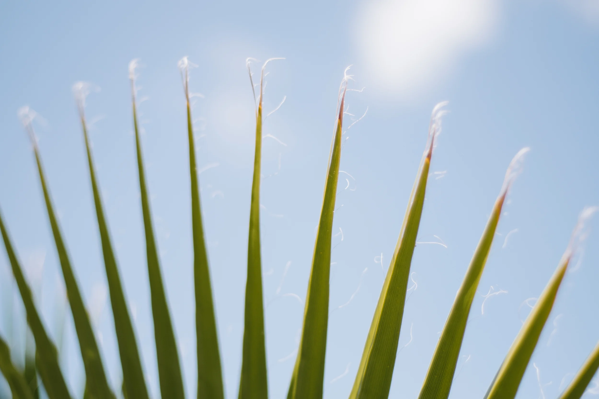 photowalk_0062.jpg
