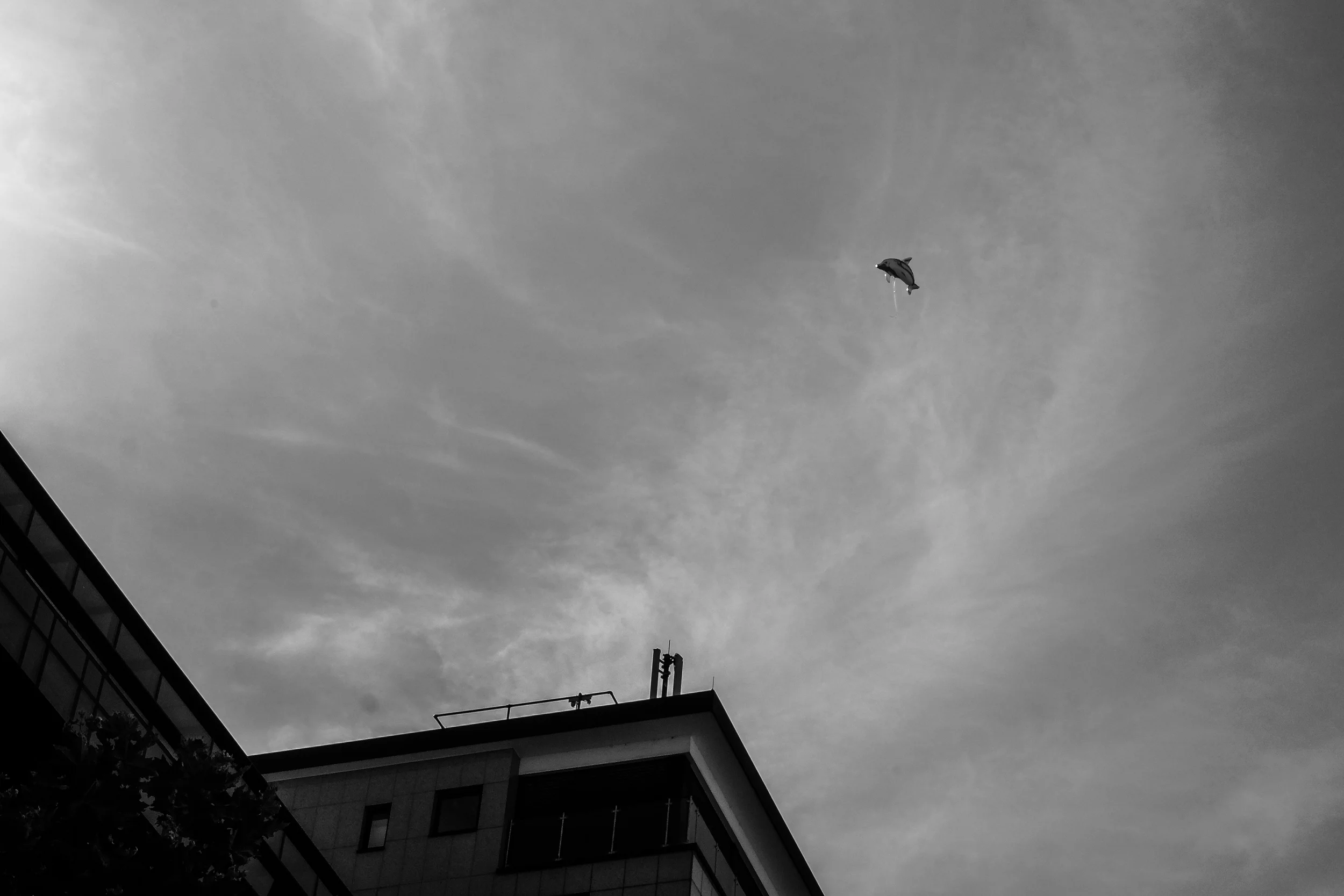 0805_0229.jpg