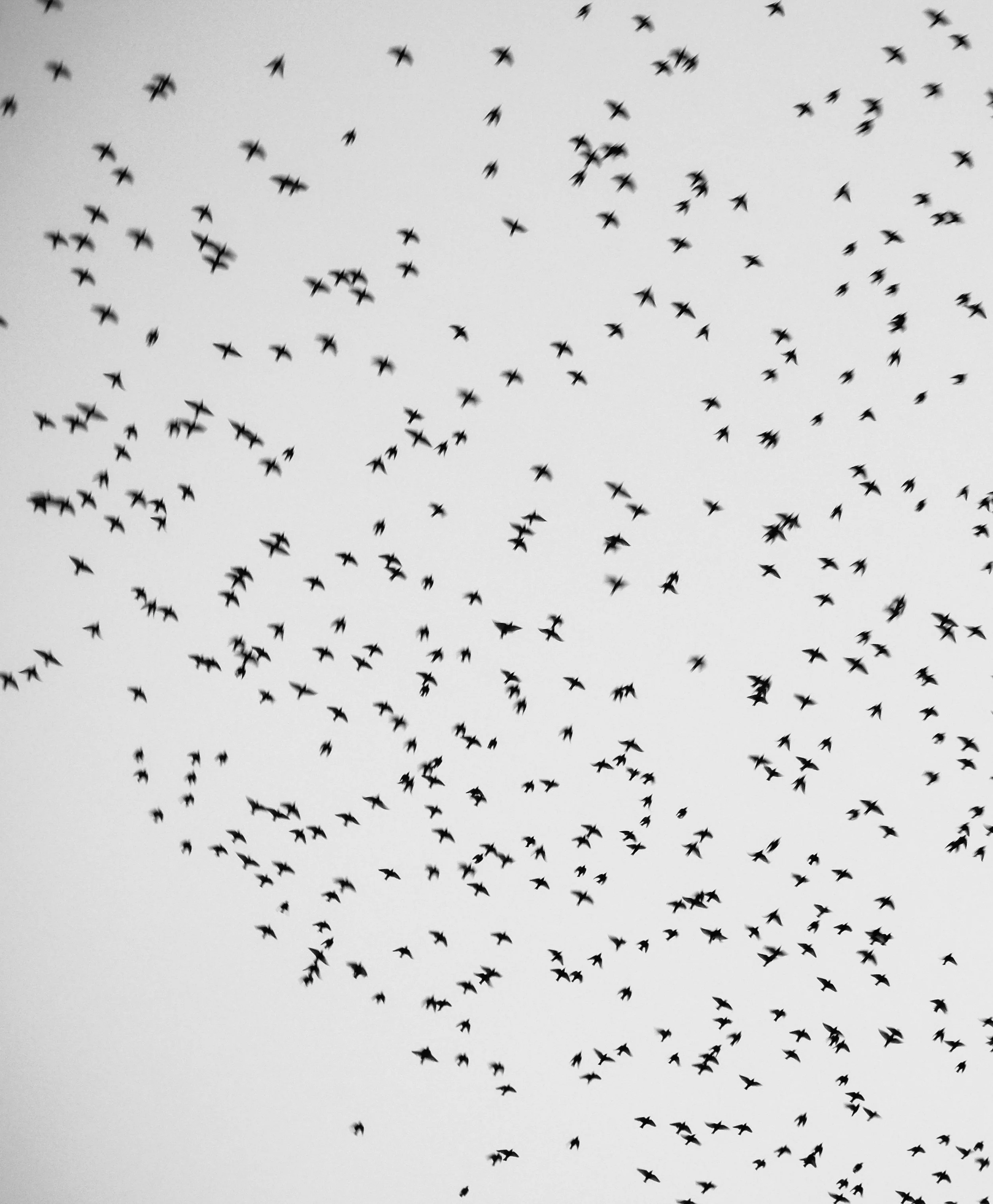 0219_0210.jpg