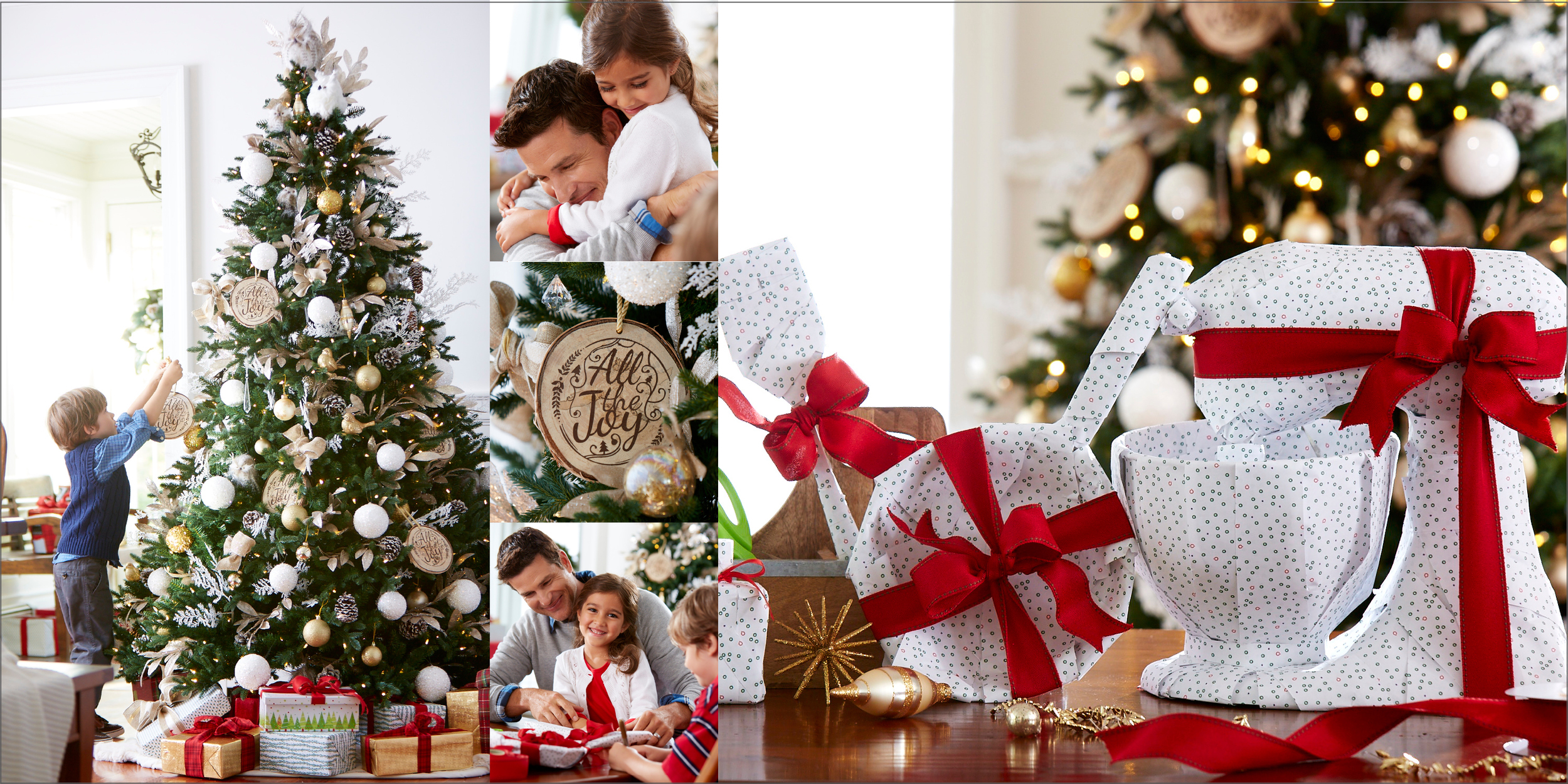 Lifestyles from QVC38.jpg