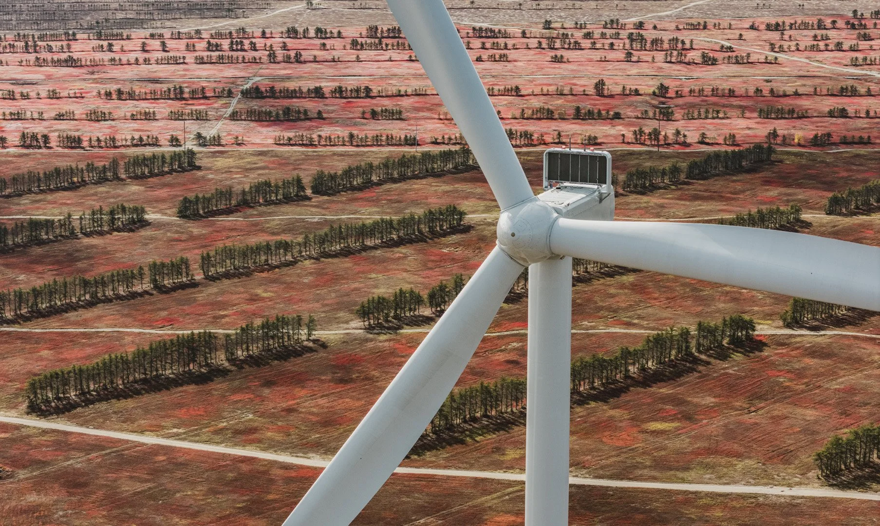 DJI_20251018114438_0097_D.jpg