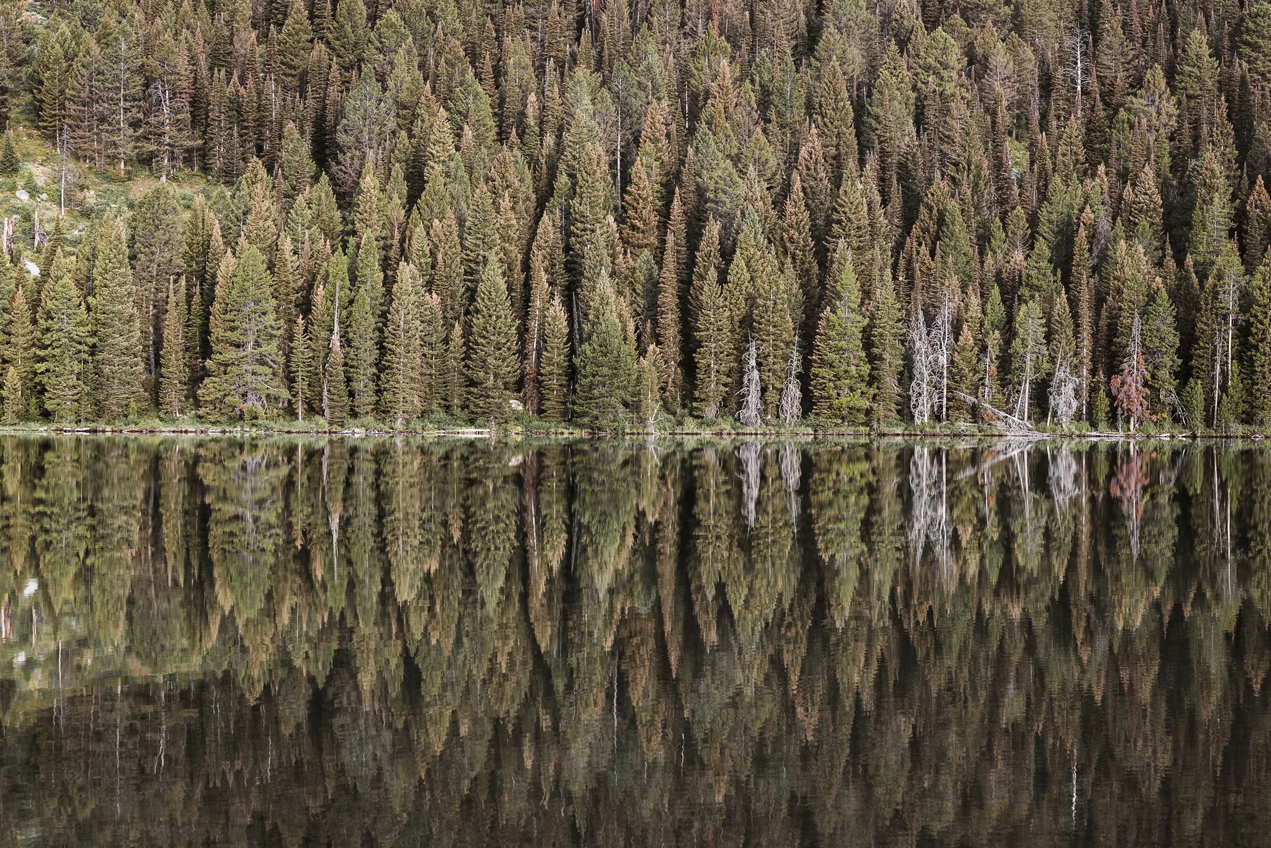 chris-bennett-photography-grand-teton.jpg