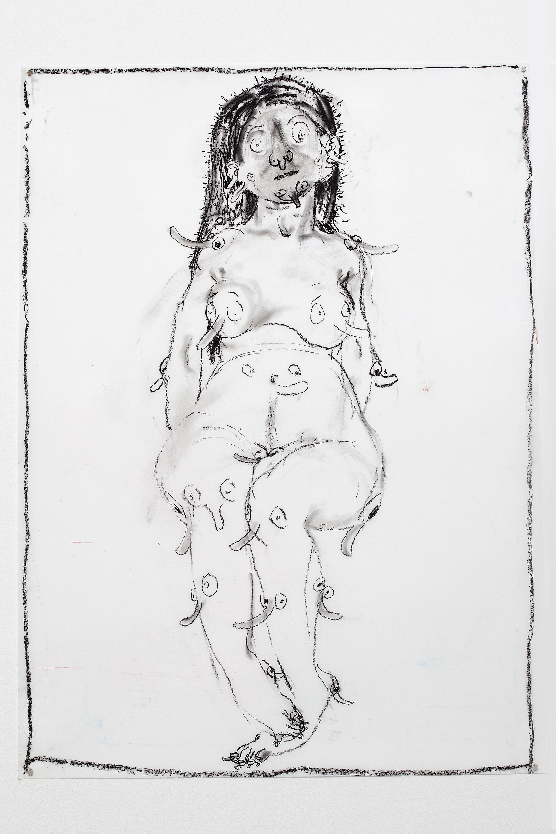 2017, charcoal on Mylar, 42 x 30"