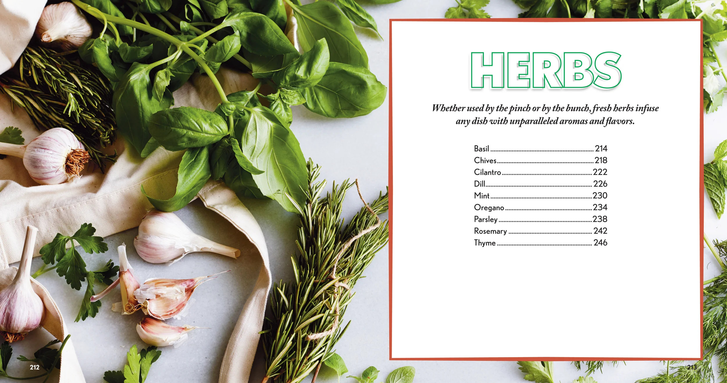 Herbs.jpg