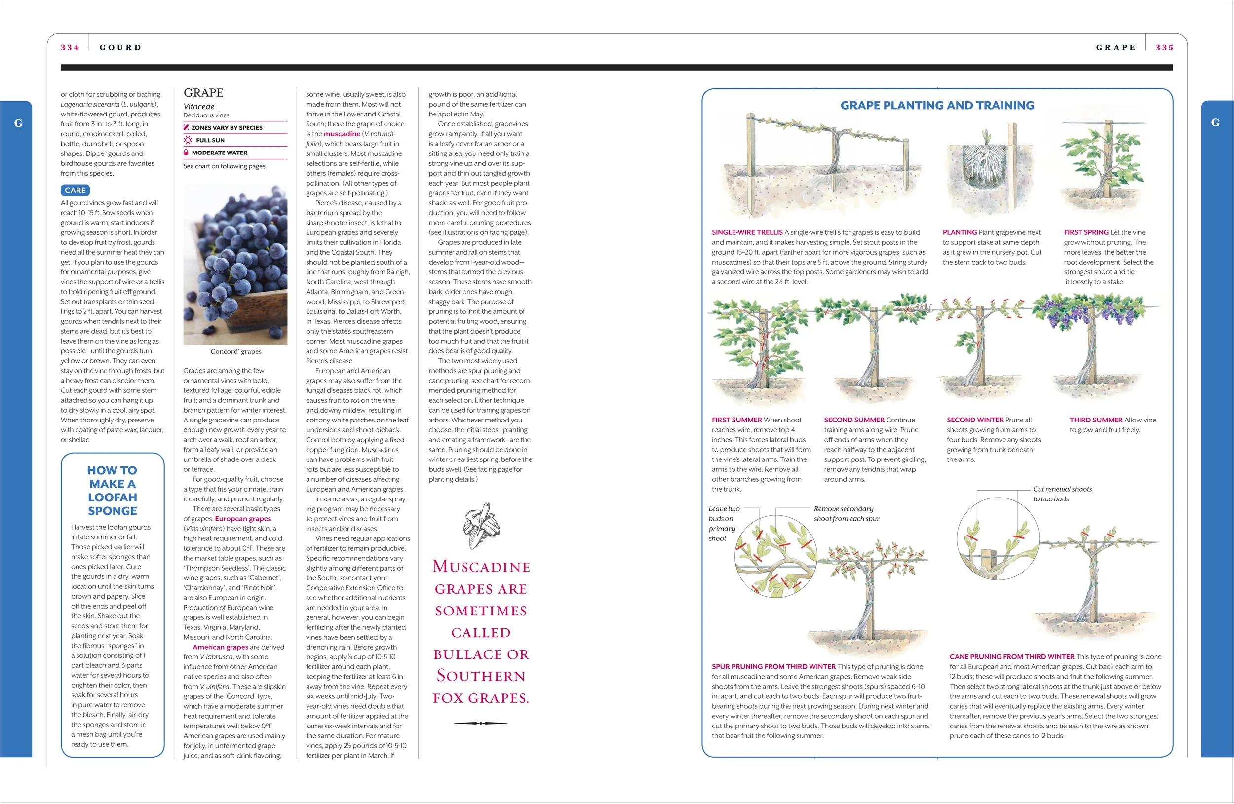 Pages from GardenBook-9.jpg