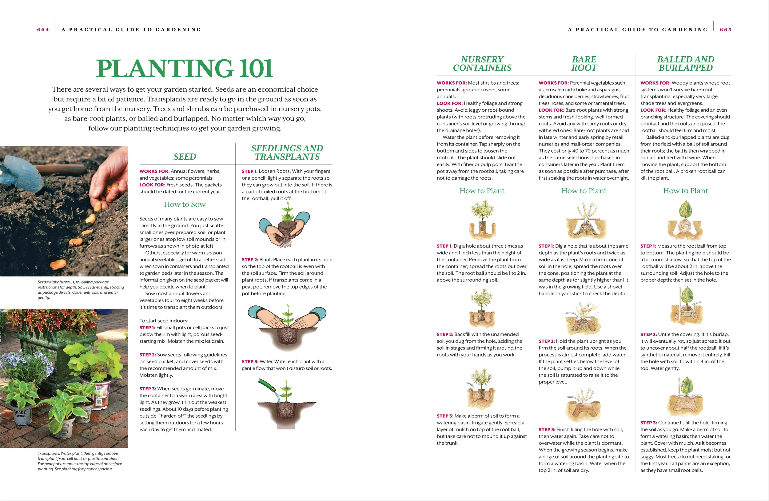 Pages from GardenBook-13.jpg