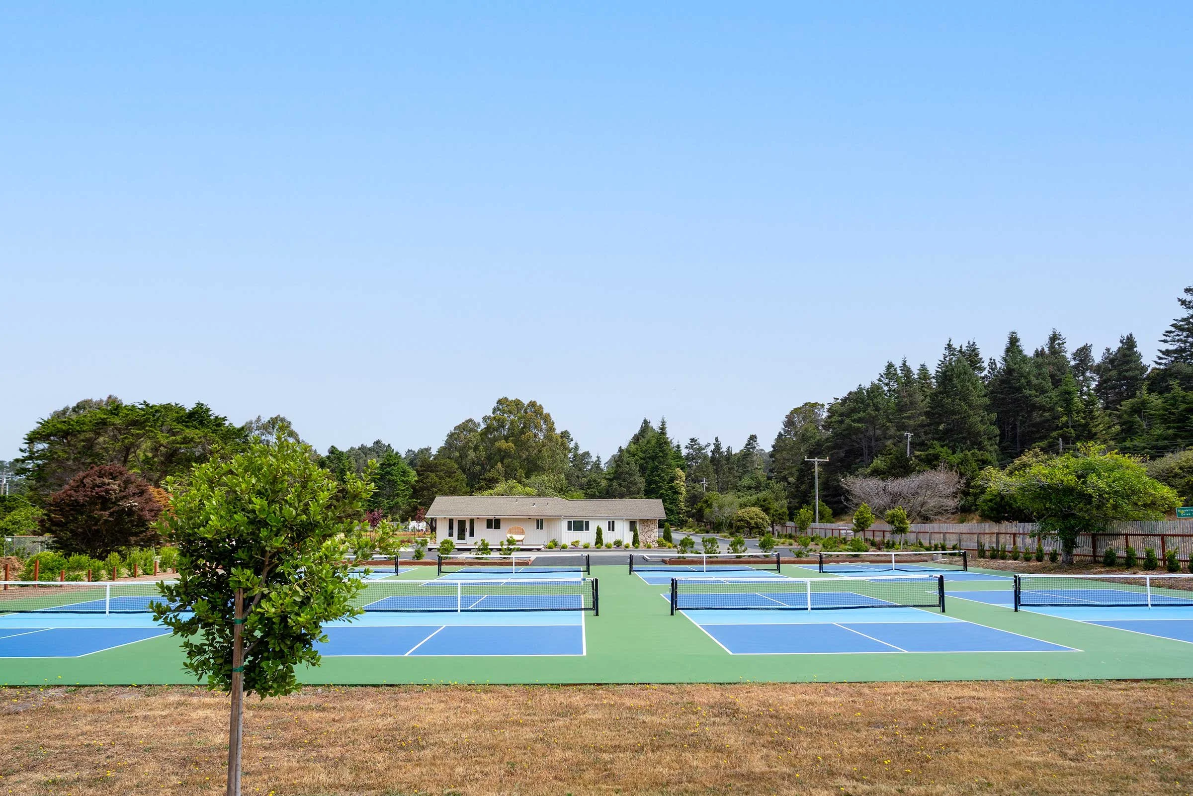 mendocino__cove_5_8_25_nik_z_photo-77.jpg