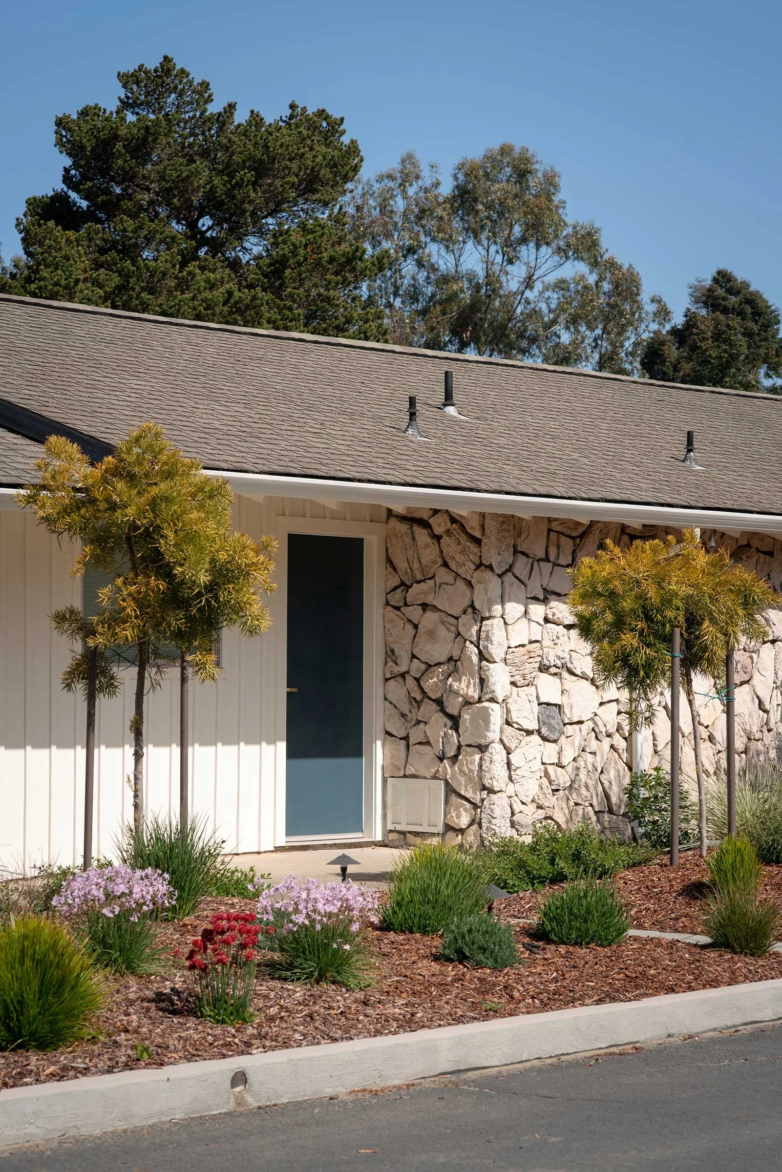 mendocino__cove_5_8_25_nik_z_photo-6.jpg