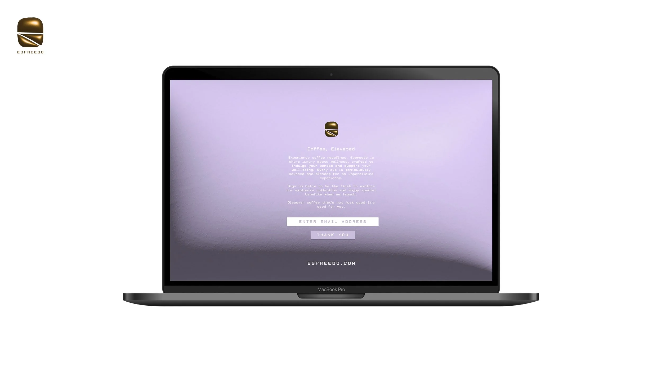 Nico St Conz - Website 2025 Pages All_59.jpg