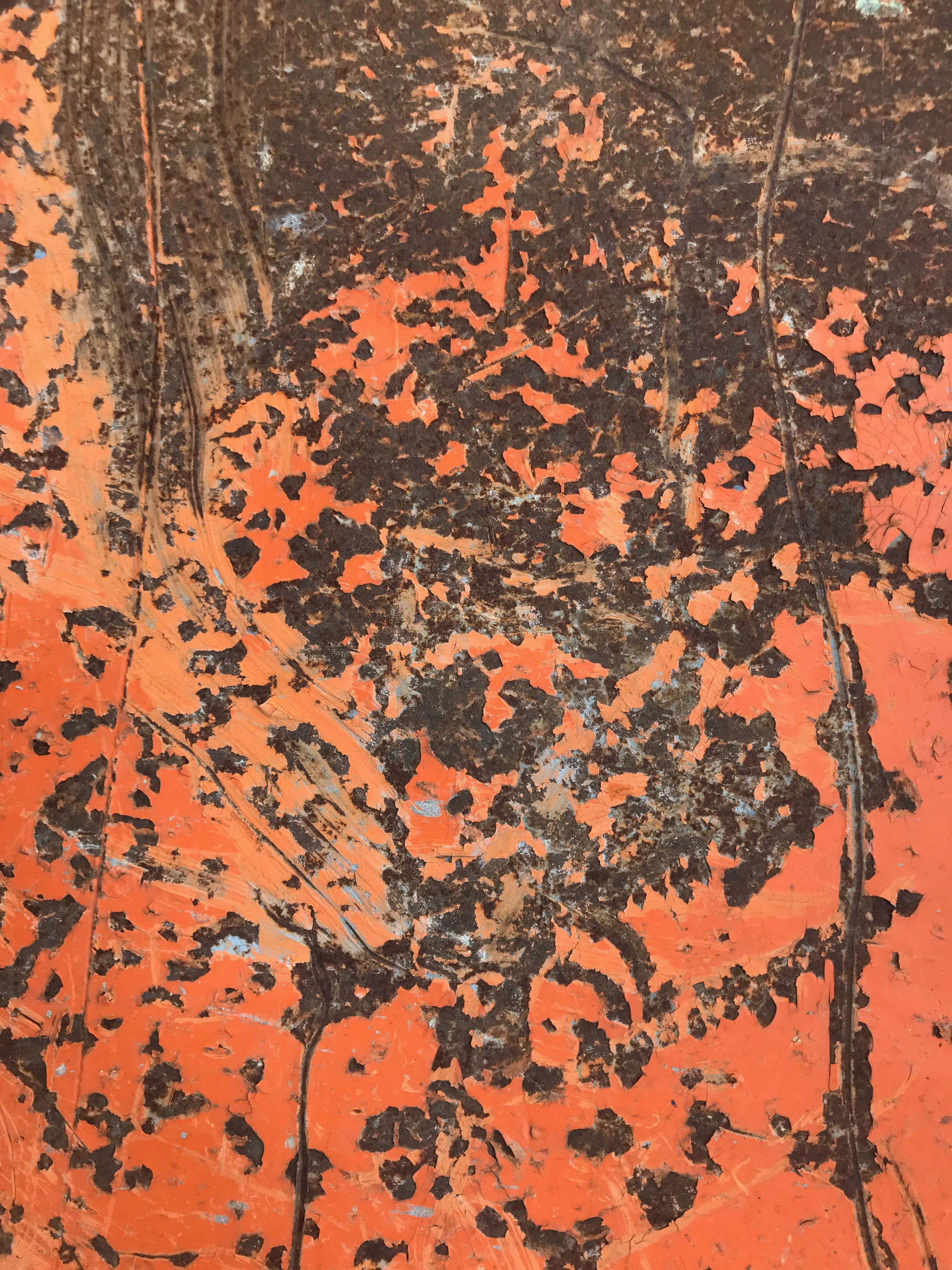 nico iphone 2020 cleanup - 4820.jpeg