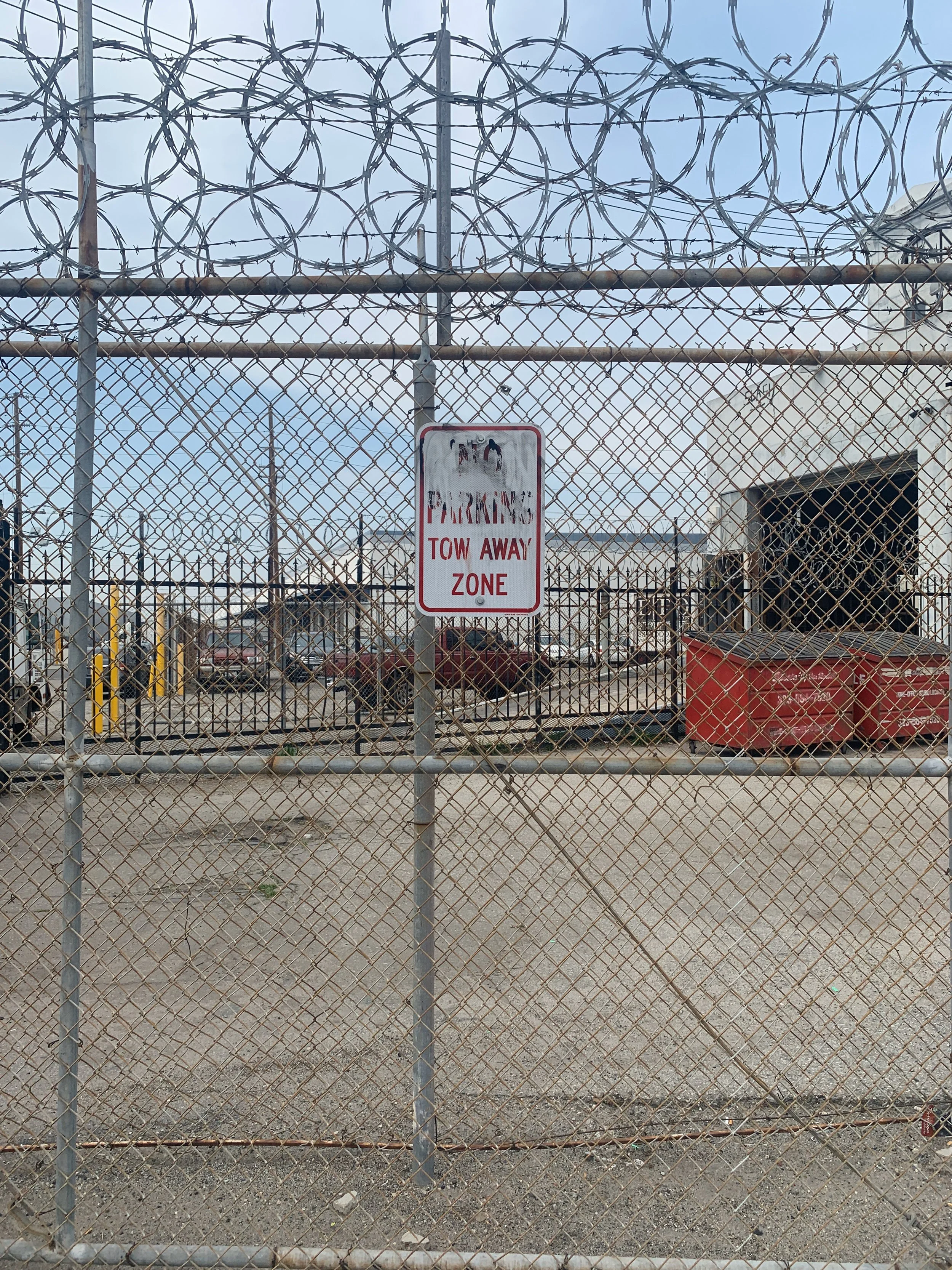 nico iphone 2020 cleanup - 10893.jpeg