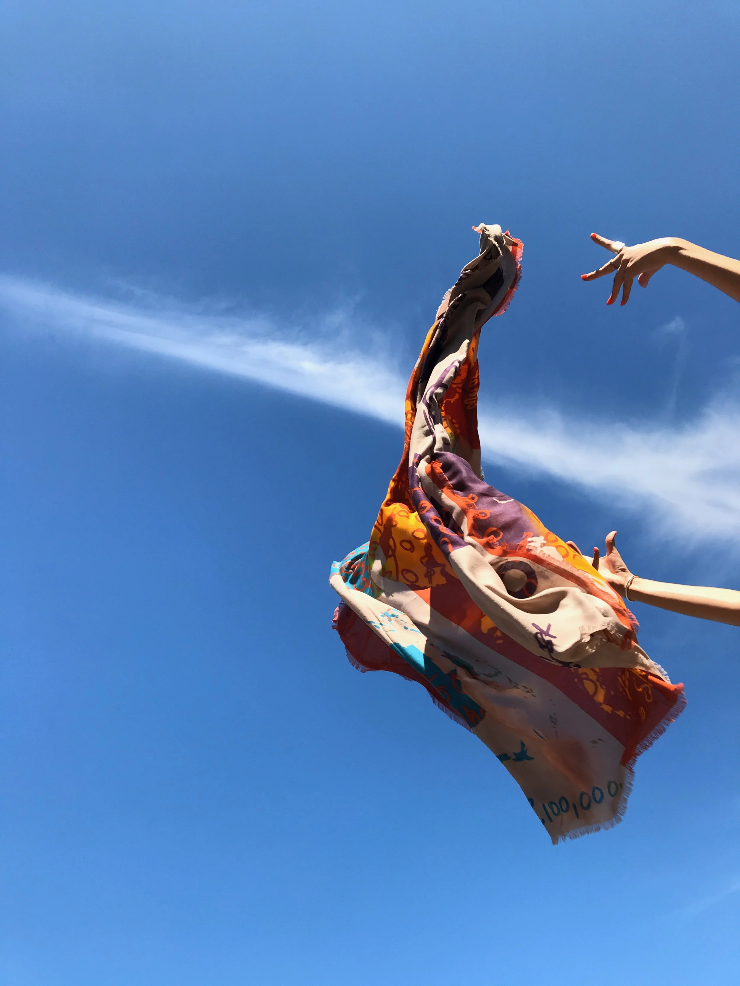 nico iphone 2020 cleanup - 3468.jpeg