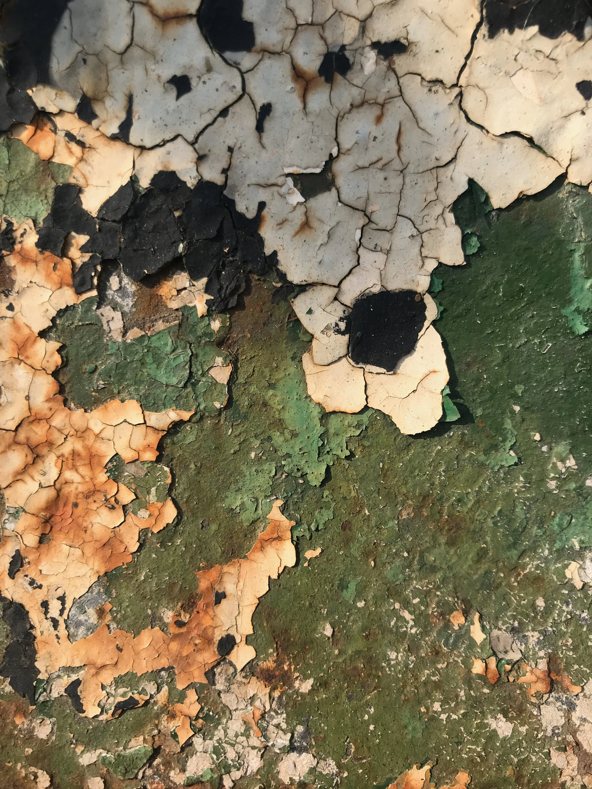 nico iphone 2020 cleanup - 3535.jpeg