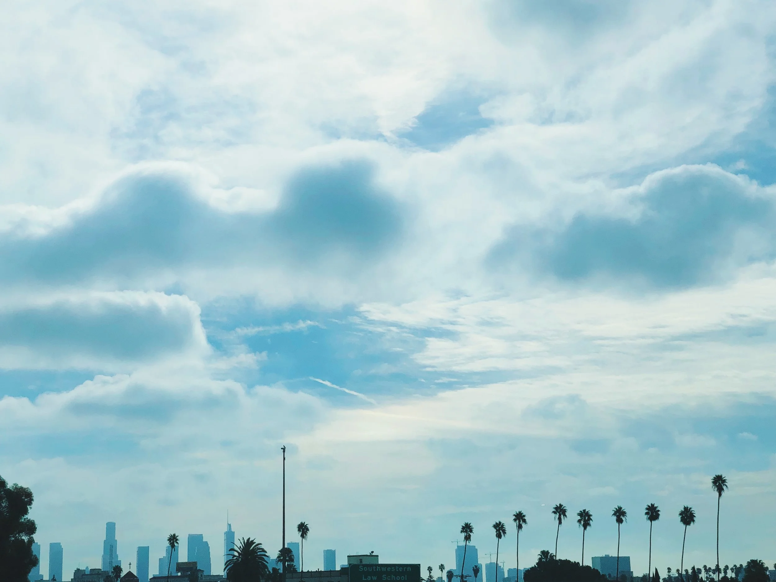 nico iphone 2020 cleanup - 11745.jpeg