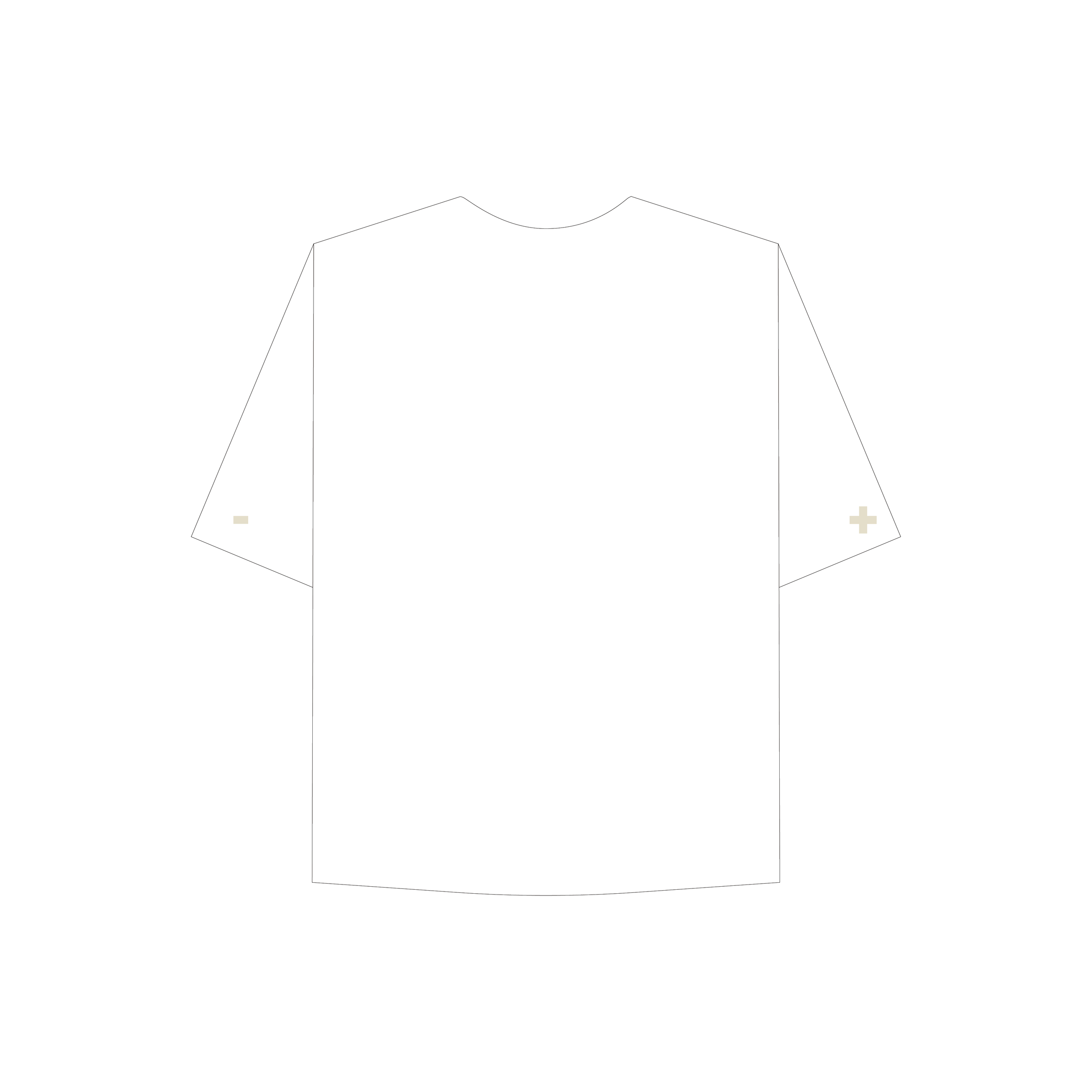 v.4 STCONZ2025 v4-58.png