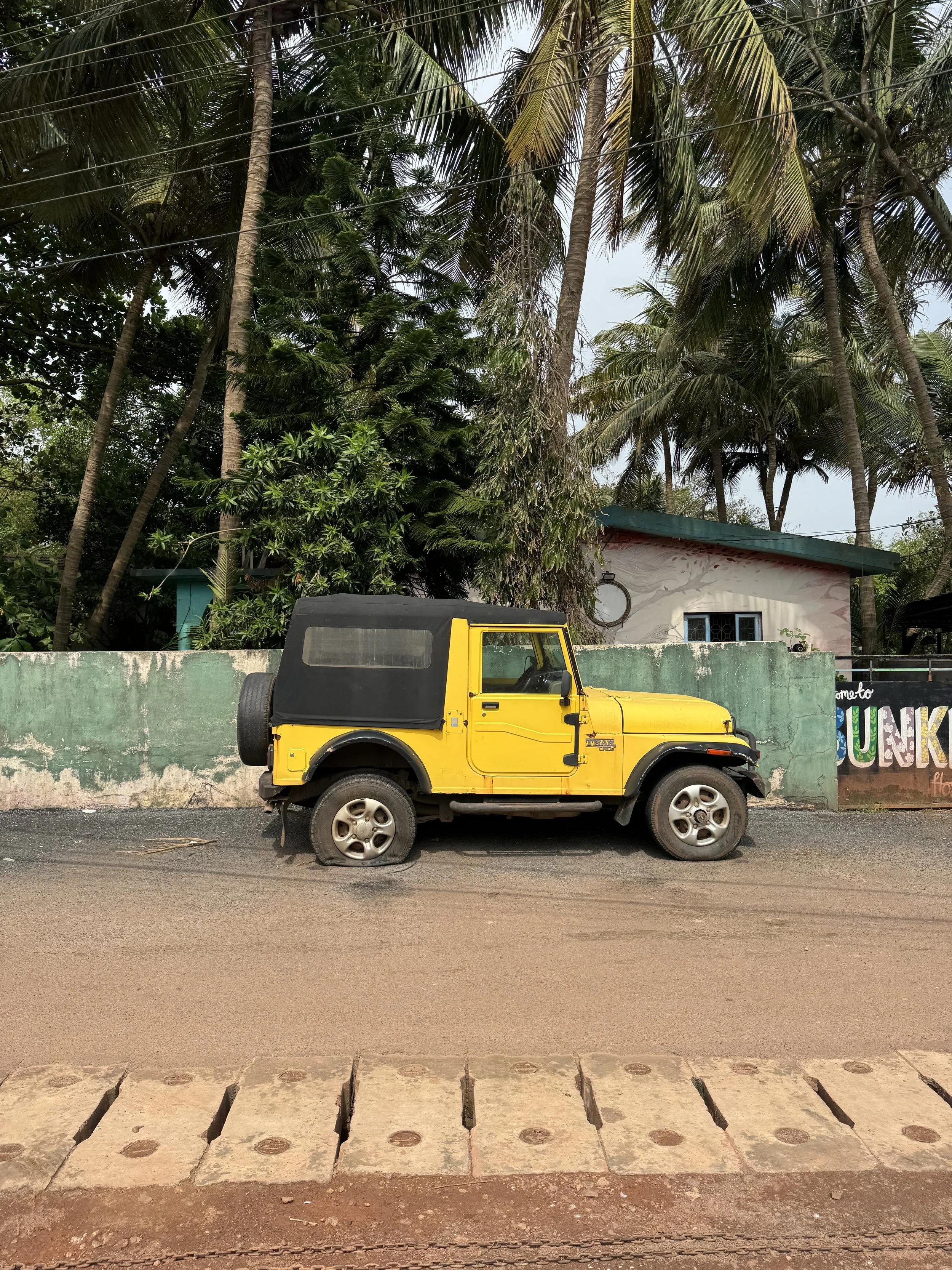 IMG_8029.jpeg