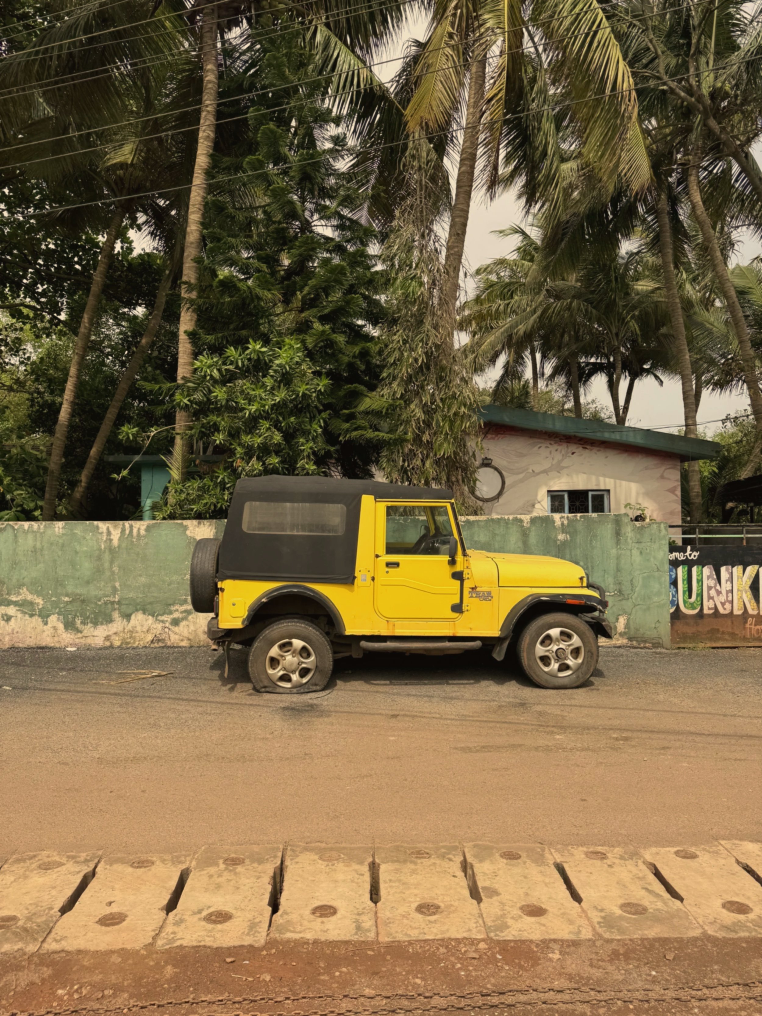 IMG_8029.jpeg
