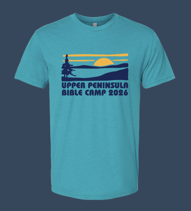 Teal T-shirt (Adult)