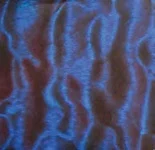 Velvet Blue Over Red