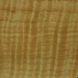 Flame Maple