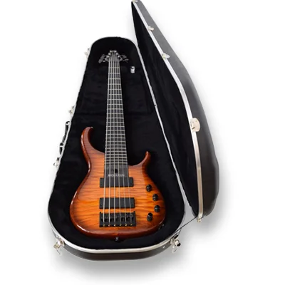 Modulus-Vectra-Case-Q5.jpg