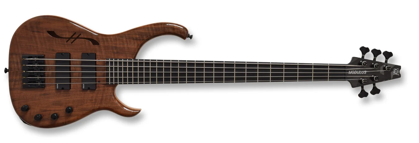 TBX5_FigWalnut_SH_Front.jpg