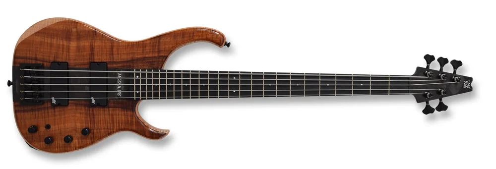 Spring Bass Instrument Bass Guitar Instrument
