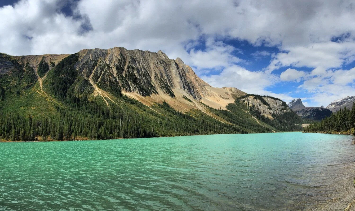 image4.jpg