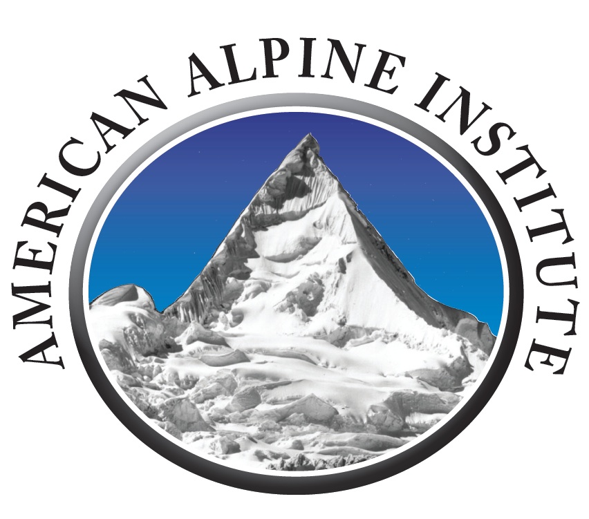 AAI Logo 2013 Round.jpg