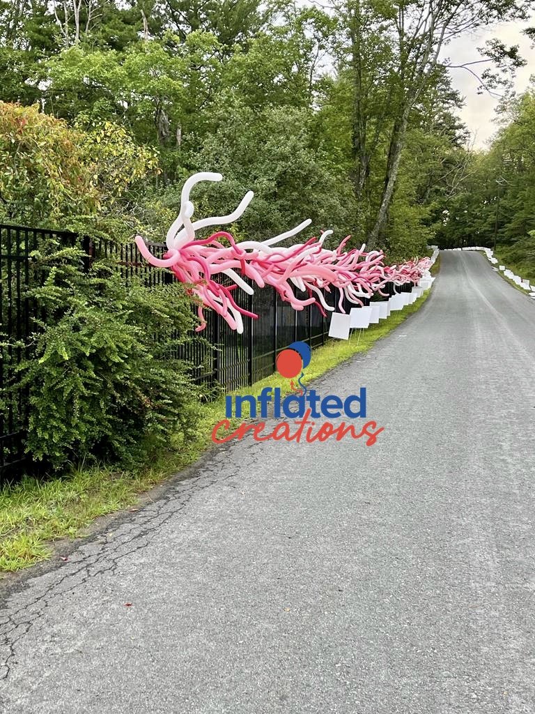 260 balloon firework on fence driveway entry